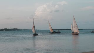 "Voile en solitaire : L'art de la navigation en solitaire"