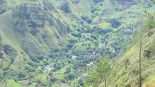 The wonder of nature 3