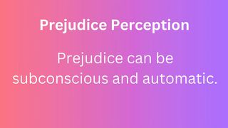 Prejudice Perception