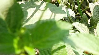 Natural Beauty |Amazing Nature | Relax Soul and Body | Peaceful Environment