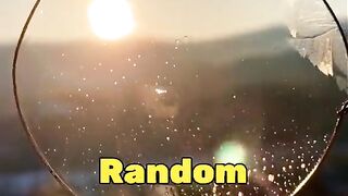 Random facts 44
