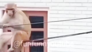 Face book funny video 2