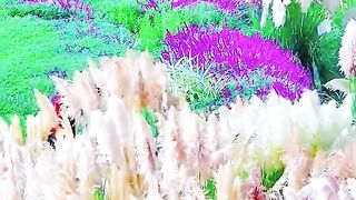 Beautiful flowers and scene