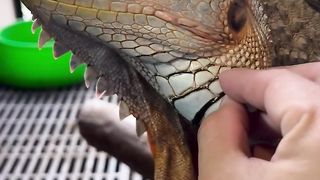Amazing video... 3