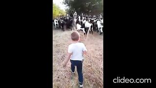 НА  СЕЛО