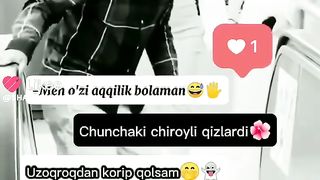 Vashe yaxwi
