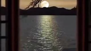Nature's beauty 5