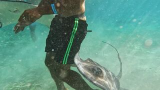 "Plongée dans l'Univers Mystérieux des Abysses Marins"