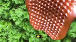 Random facts 45
