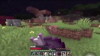 Minecraft W#F moment