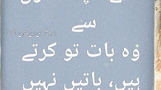 ہرجائی