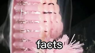 Random facts 54