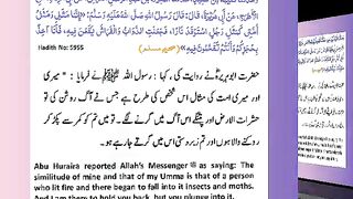 اسلامی معلومات 197