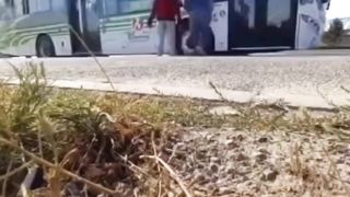 Gooo bola