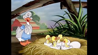 Tom & Jerry - Best of Little Quacker - Classic Cartoon