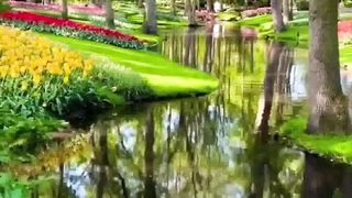 Beautiful nature 107