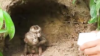 Animal love. So innocent
