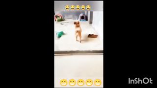 Subscribe 10