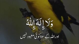 Allah ho akar