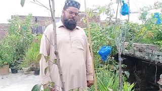 ہم نے اپنی چادر سے کون کون سا پھل اور سبزی اتاری
