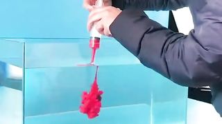 Product Photography ideas | Amazing Videos | Unique Videos | Tricks #amazing #productphotography