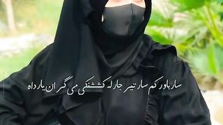 Hayee 4