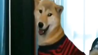 Kulgu bekati 3
