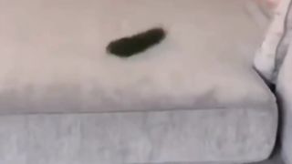 Kulgu bekati 6
