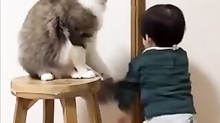 Funny Cat & kid Videos funniest