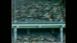 Sports Beautiful Cirket 2023