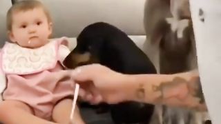 Which is the cutest