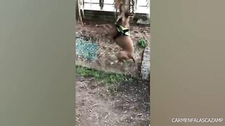 The dog is part cat ???? Funny Dog Videos that adds an extra shine to your day!