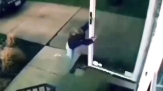 Most Funiest video on the internet || Comedy & Prank Videos || Amazing funny & comedy videos