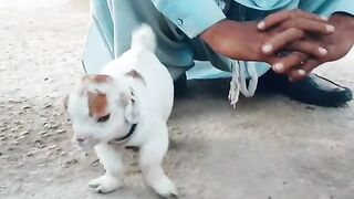 Allah pak k krishmy