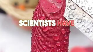 Random facts 70