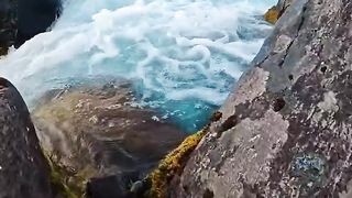 Елена Копилка_adlı_kullanıcının_мои_гиф,_видео_panosundaki_Pin_[Video],_2023_|_Sualtı_fotoğrafları,_Doğa,_Fotoğraf.