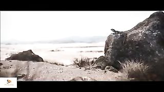 La vie est courte ,il faut qur moi je cours moi