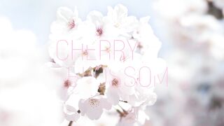 Innisfree Cherry Blossom Dewy Glow Jam Cleanser Daily Face Wash 529 Fl Oz (Pack of 1)  Beauty  Personal Care