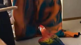 Funny birds 2