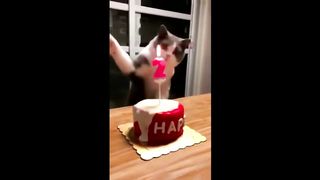 FUN WITH ANIMALS | FUN WITH ANIMALS