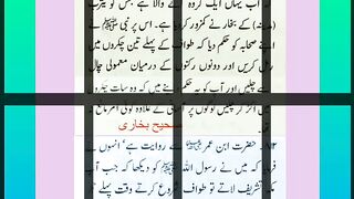 اسلامی معلومات 206