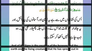 اسلامی معلومات 201