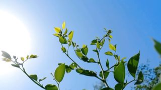 Amazing Beautiful Nature Scenery | Best Nature For Sleep | Nice View | Febspot
