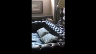 FUN WITH ANIMALS