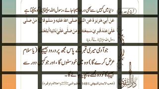 اسلامی معلومات 204