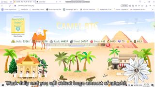 CamelBTC game - play for pleasure