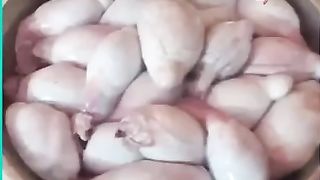 Funny video