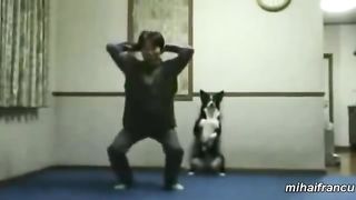 fun with animals 2