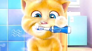 Talking Cat Ginger2