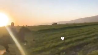 horses 2